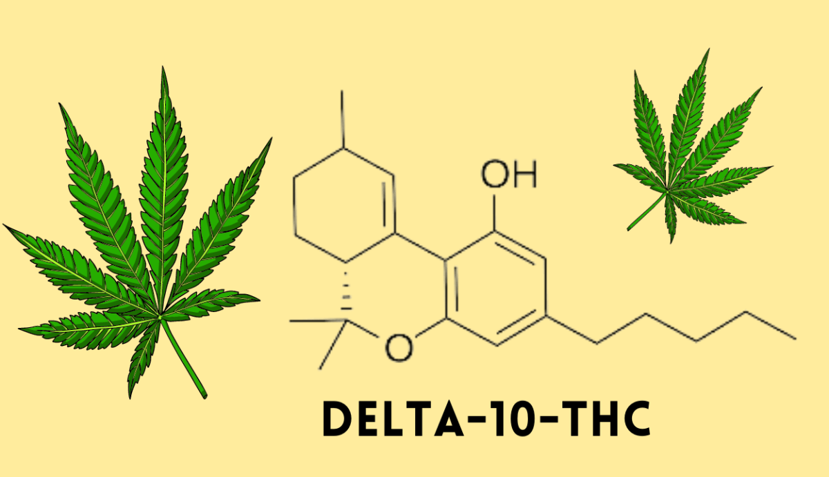 Read more about the article Delta 10 THC: A Guide to the Latest Cannabinoid