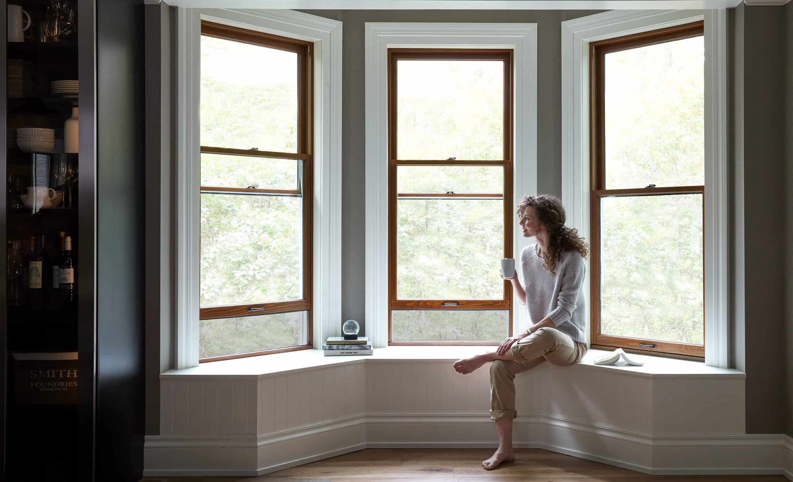 Read more about the article A Fresh Outlook: Transforming Your Home with New Windows
