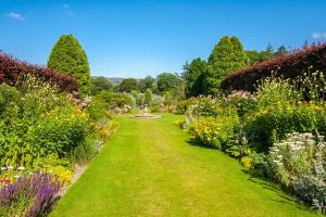 Read more about the article Boosting Your Garden Hose: The Power of Pressure Washers